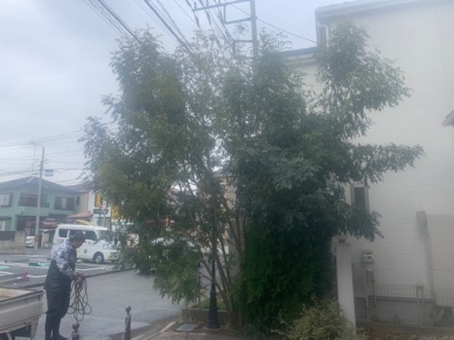お庭お手入れ