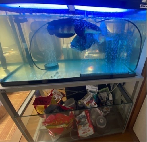 90センチ水槽フルセット+90センチ水槽+その他