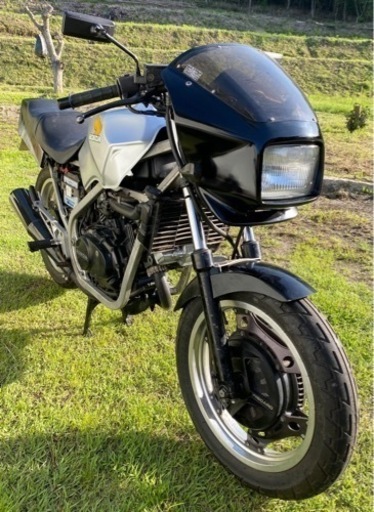 バイク ホンダ vt250f FE