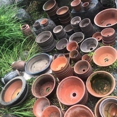 植木鉢 家庭用品 ガーデニング