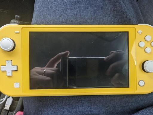 Switchライト　バッテリー交換済み