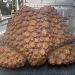 引取り限定 大阪！ 特大 蛙置物 W1050 木彫 彫刻 ガーデニング 縁起物