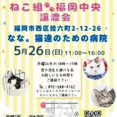 5/26 ねこ組🐾福岡中央譲渡会　なな。猫達のための病院