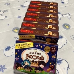 きのこの山　1箱のお値段です