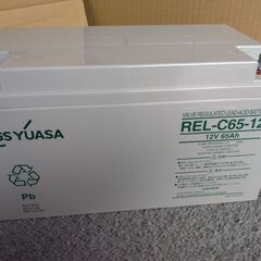 非常電源 GS YUASA (REL-C65-12) 12V65...