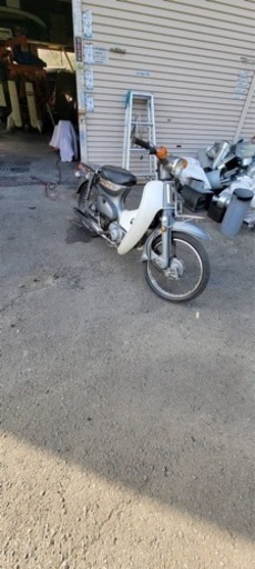 ホンダ　カモメ　カブ　50
