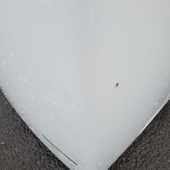 ♦️TOSHIBA電気洗濯乾燥機【2017年製】AW-8V6