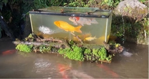 水槽　大型