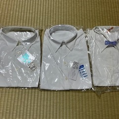 服/ファッション シャツ レディース　半袖白シャツ　