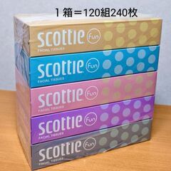 【成立終了】スコッティ ティシュー ファン／120組 5箱パック...