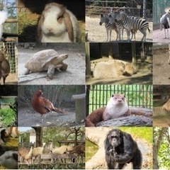 動物園好きな方🥰