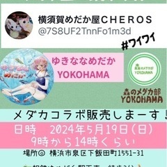 2024年５月19日めだか販売❗️第2回YOKOHAMAゆめが丘...