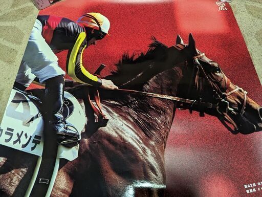 競馬!ドゥラメンテダービーポスター 第83回 日本ダービー ポスター