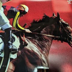 競馬!ドゥラメンテダービーポスター