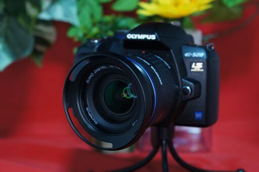 値下　olympus E520 美品　可動　純正電池充電器