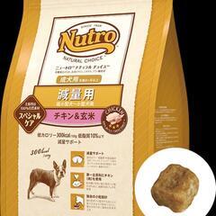 ドッグフード　ナチュラルチョイス超小型犬～小型犬用 減量用 3キロ