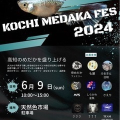 KOCHI MEDAKA FES 2024　高知県最大のめだかイベント