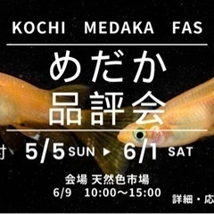 KOCHI MEDAKA FES 2024　高知県最大のめだかイベント - 香南市