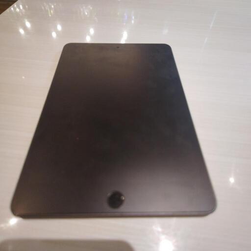 iPad iPadmini5 256GB