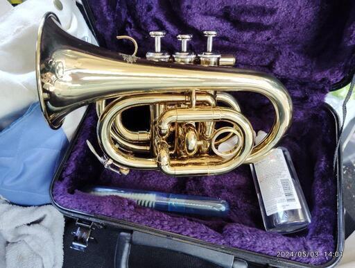 楽器 管楽器、笛、ハーモニカ