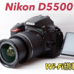 ★Nikon D5500★Wi-Fi搭載●S数少●豪華な付属品●...