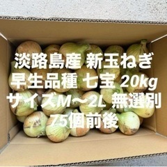 兵庫県 淡路島産 新玉ねぎ M～2L 20kg早生品種 七宝 7...