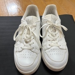 adidas 靴／スニーカー　22.5センチ