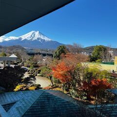 友達募集🥺 - 川越市