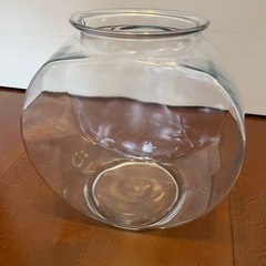 ガラスの金魚鉢