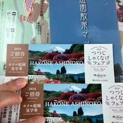 箱根　山のホテル庭園ごよみ　つつじしゃくなげフェア　見学券2枚　...