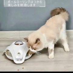 猫　エサ食べ過ぎ防止おもちゃ