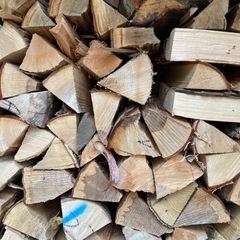 薪　2025 乾燥薪　firewood 
 