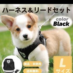 ハーネス＆リードセット 犬 ブラック Lサイズ 小型犬