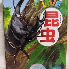 🌟学研の図鑑LIVE 昆虫　DVD付き