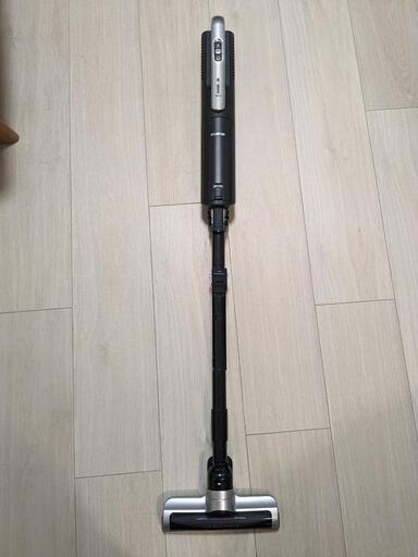 家電 生活家電 掃除機
