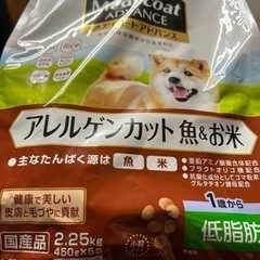 犬🐕ご飯　