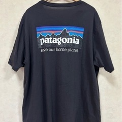 Patagonia パタゴニア M's P-6 Mission ...