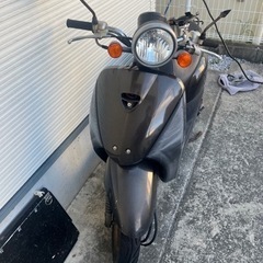 <キャンセル待ち>TODAY 原付