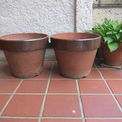 植木鉢（陶器）2個