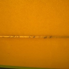 BL×FT エビスサーフボード5,7