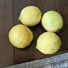 レモン(無農薬)