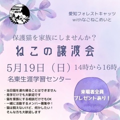 5/19 名古屋の保護猫譲渡会☆