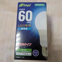 白熱電球　60形相当　LED電球　昼光色　E-Bright E26口金