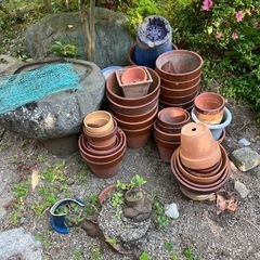 陶器植木鉢ガーデニング