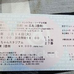 【ネット決済】5月14日 ヤクルト対広島チケット