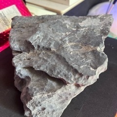 淡水  アクアリウム 竜王石