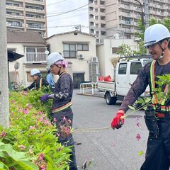 社宅あり！即日勤務可能！草刈、枝切、草むしり、清掃作業 − 東京都
