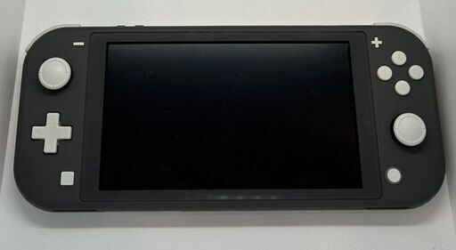 J5086　Nintendo Switch Lite ニンテンドースイッチライト グレー ケース、充電ケーブル付き