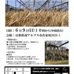 小麦収穫体験イベント【6月9日】【参加無料】