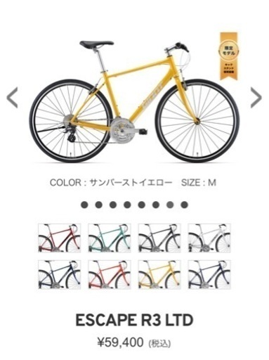 giant ESCAPE R3定価60,000円　②格安